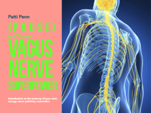 { P A U S E } in your VAGUS NERVE Superpower @ Zoom