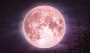 Pink Full Moon Reiki Circle @ Zoom